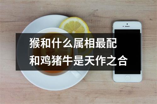 猴和什么属相配和鸡猪牛是天作之合
