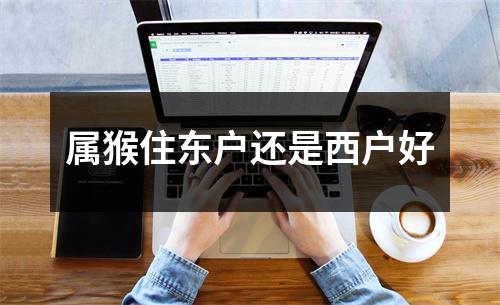 属猴住东户还是西户好