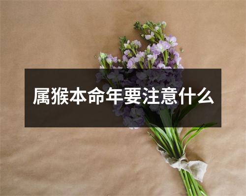<h3>属猴本命年要注意什么