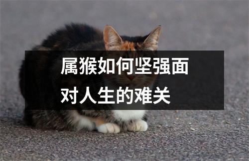 <h3>属猴如何坚强面对人生的难关