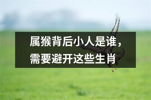 属猴背后小人是谁，需要避开这些生肖