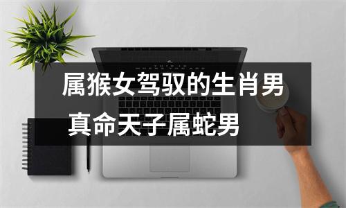 属猴女驾驭的生肖男真命天子属蛇男