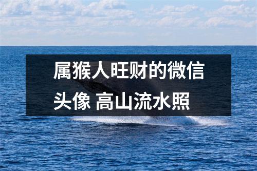 <h3>属猴人旺财的微信头像高山流水照