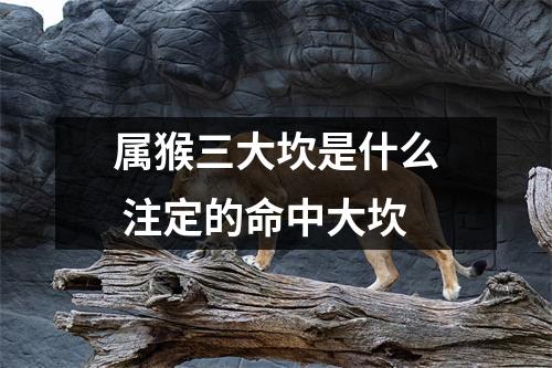 属猴三大坎是什么注定的命中大坎