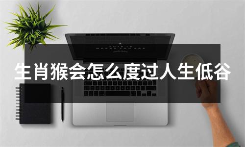 生肖猴会怎么度过人生低谷