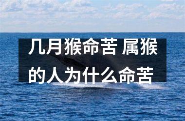 几月猴命苦 属猴的人为什么命苦