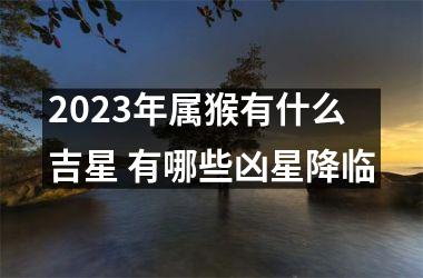 2025年属猴有什么吉星 有哪些凶星降临