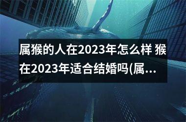 属猴的人在2023年怎么样 猴在2023年适合结婚吗(属猴的在2023年的运程是怎么样)