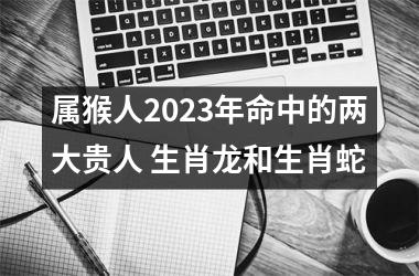 属猴人2023年命中的两大贵人 生肖龙和生肖蛇