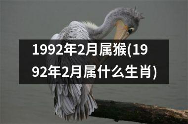 1992年2月属猴(1992年2月属什么生肖)