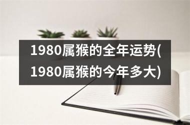 1980属猴的全年运势(1980属猴的今年多大)