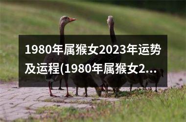 1980年属猴女2023年运势及运程(1980年属猴女2023年运势及运程每月运程)