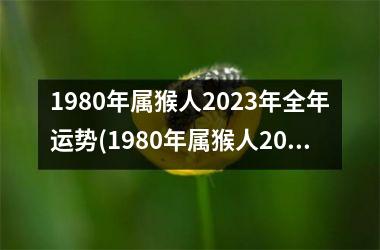 1980年属猴人2023年全年运势(1980年属猴人2023年运势)