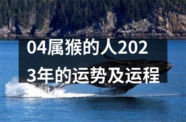 04属猴的人2025年的运势及运程
