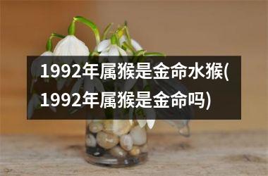 1992年属猴是金命水猴(1992年属猴是金命吗)