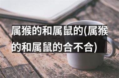 属猴的和属鼠的(属猴的和属鼠的合不合)