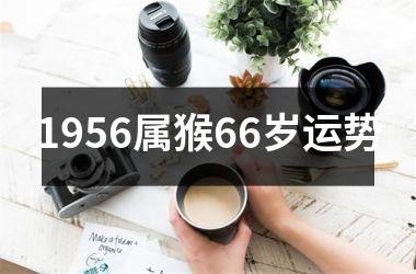 1956属猴66岁运势