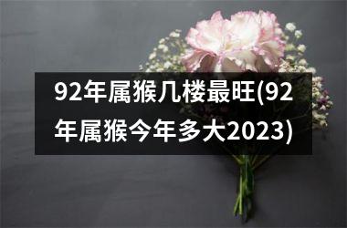 92年属猴几楼更旺(92年属猴今年多大2023)