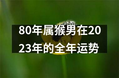 80年属猴男在2023年的全年运势