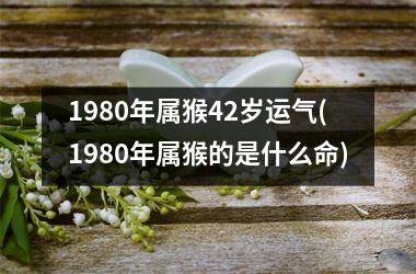 <h3>1980年属猴42岁运气(1980年属猴的是什么命)