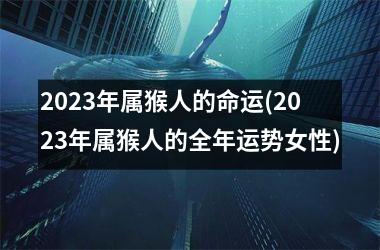 2023年属猴人的命运(2023年属猴人的全年运势女性)