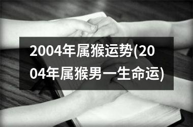 2004年属猴运势(2004年属猴男一生命运)