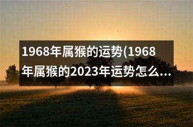 1968年属猴的运势(1968年属猴的2023年运势怎么样)