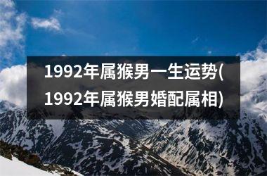 1992年属猴男一生运势(1992年属猴男婚配属相)