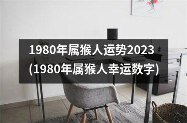 1980年属猴人运势2023(1980年属猴人幸运数字)