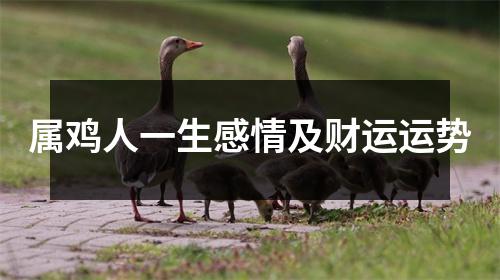 属鸡人一生感情及财运运势