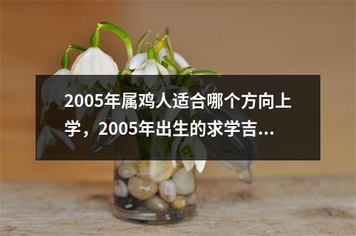 2005年属鸡人适合哪个方向上学，2005年出生的求学吉祥方位