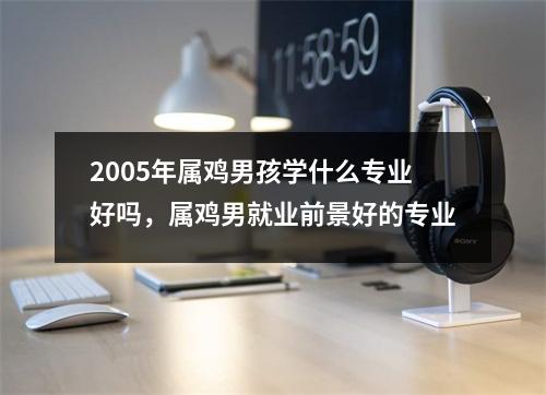 2005年属鸡男孩学什么专业好吗，属鸡男就业前景好的专业