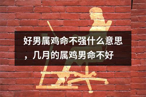 好男属鸡命不强什么意思，几月的属鸡男命不好