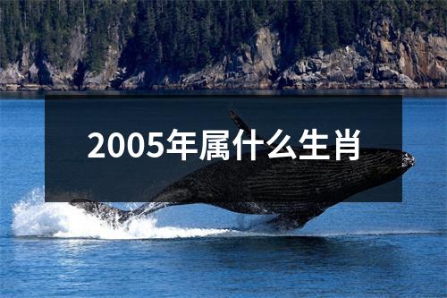 2005年属什么生肖