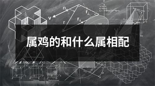 属鸡的和什么属相配