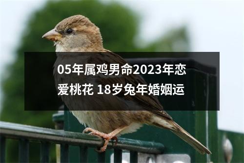 05年属鸡男命2025年恋爱桃花18岁兔年婚姻运