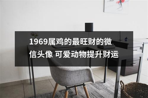 <h3>1969属鸡的旺财的微信头像可爱动物提升财运