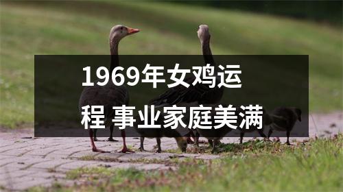 <h3>1969年女鸡运程事业家庭美满