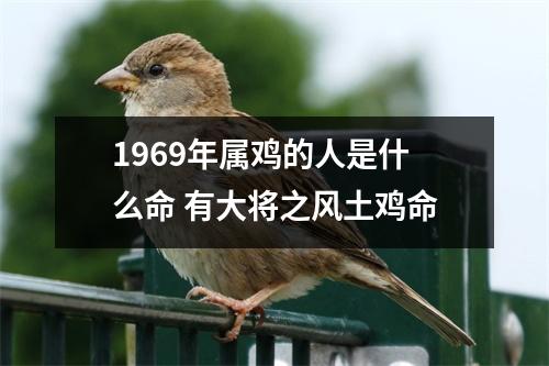 1969年属鸡的人是什么命有大将之风土鸡命