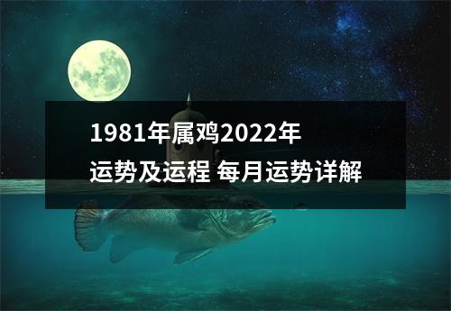 1981年属鸡2025年运势及运程每月运势详解
