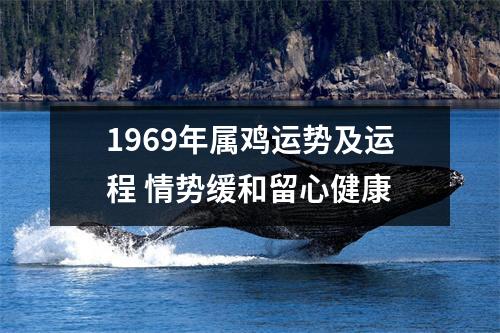 1969年属鸡运势及运程情势缓和留心健康