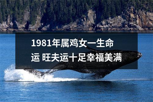 1981年属鸡女一生命运旺夫运十足幸福美满