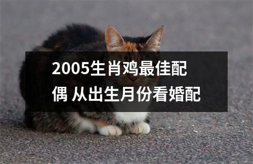 2005生肖鸡佳配偶从出生月份看婚配