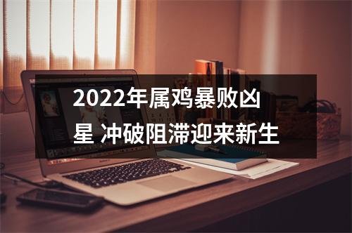2025年属鸡暴败凶星冲破阻滞迎来新生