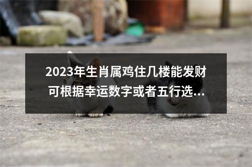 2025年生肖属鸡住几楼能发财可根据幸运数字或者五行选择
