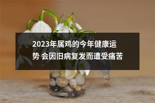 2025年属鸡的今年健康运势会因旧病复发而遭受痛苦