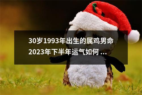 30岁1993年出生的属鸡男命2025年下半年运气如何运势详解
