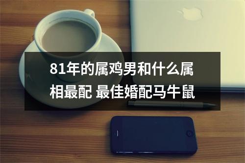 81年的属鸡男和什么属相配佳婚配马牛鼠