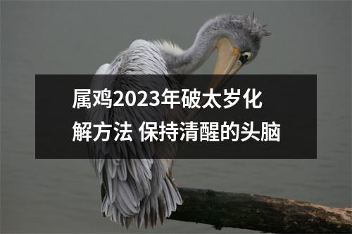 属鸡2025年破太岁化解方法保持清醒的头脑