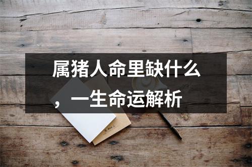 <h3>属猪人命里缺什么，一生命运解析